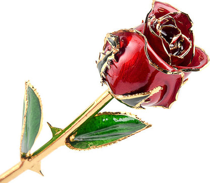 Glazed Roses - Clear Preserved Real Roses