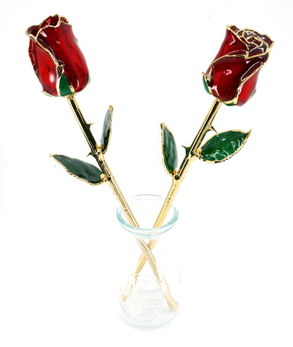 Glazed Roses - Clear Preserved Real Roses